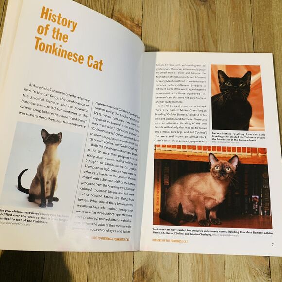 The Guide to Owning a Tonkinese Cat by Lorraine Shelton Paperback Cat Care 1997 - Picture 4 of 5